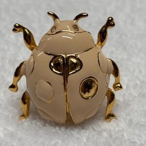 Scarab Beetle Cream and Gold Brooch